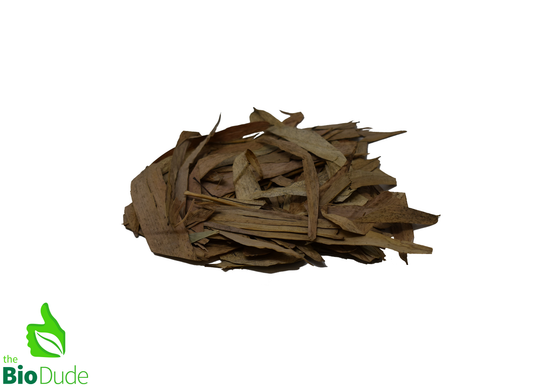 Colombian Leaf Litter — Bamboo Leaves (Guadua sp.), 1.5 oz
