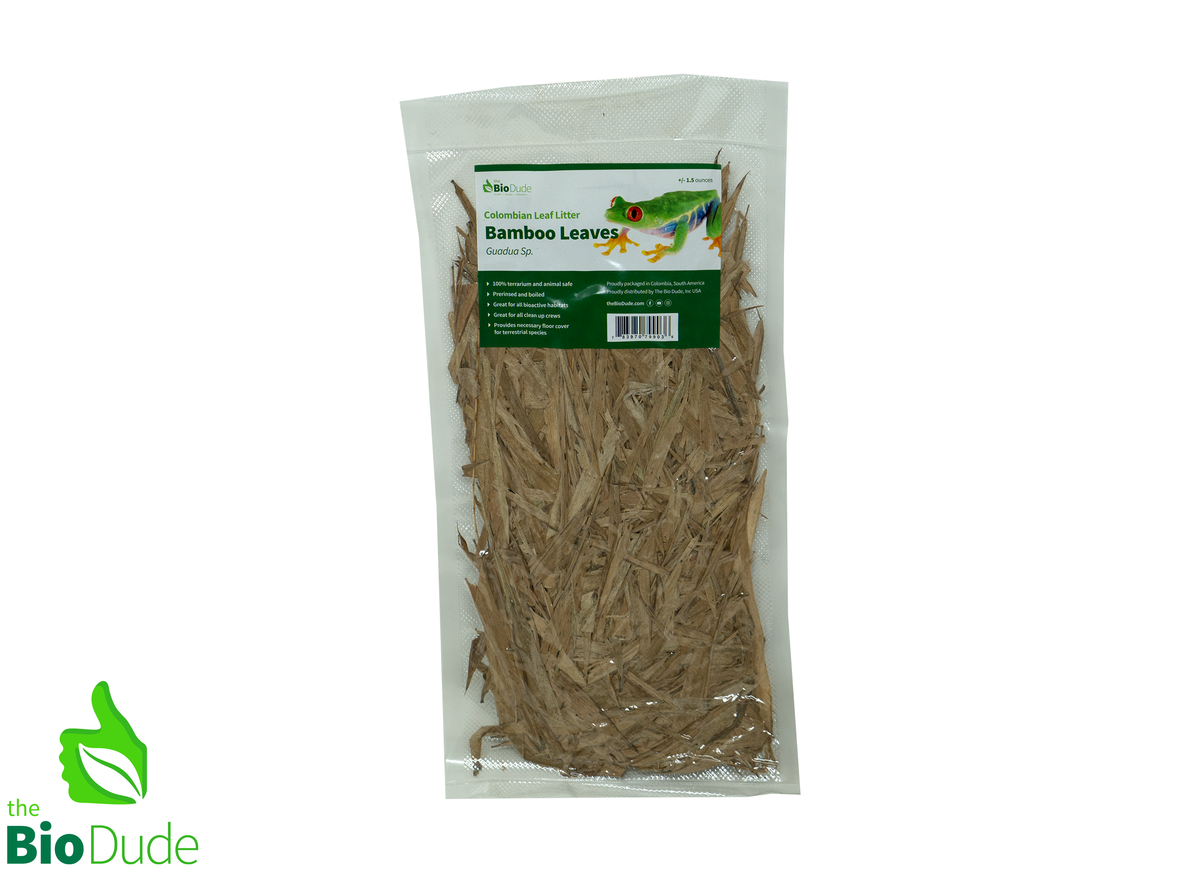 Colombian Leaf Litter — Bamboo Leaves (Guadua sp.), 1.5 oz