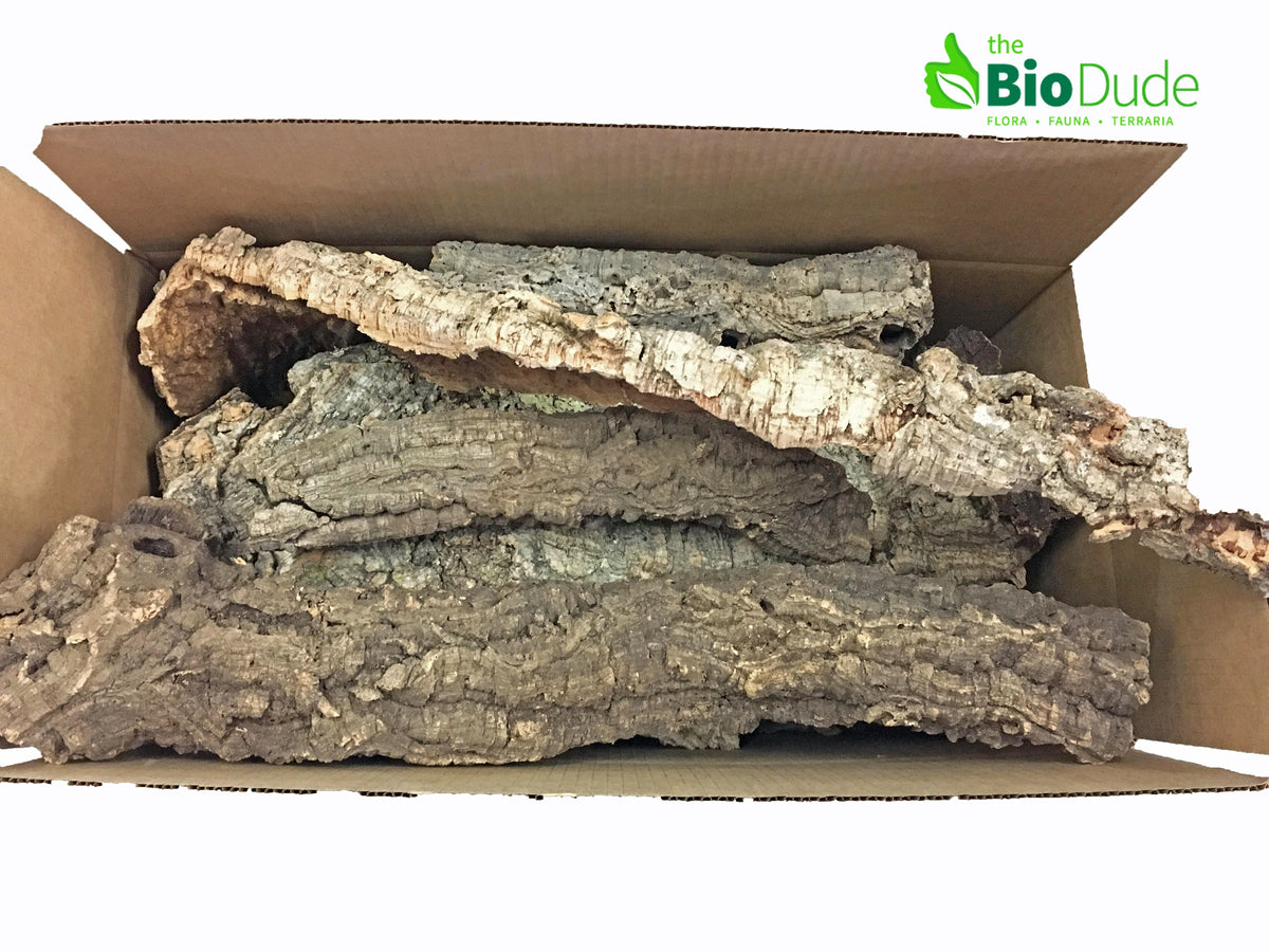 Cork Bark Flats for Reptiles, Amphibians & Plants