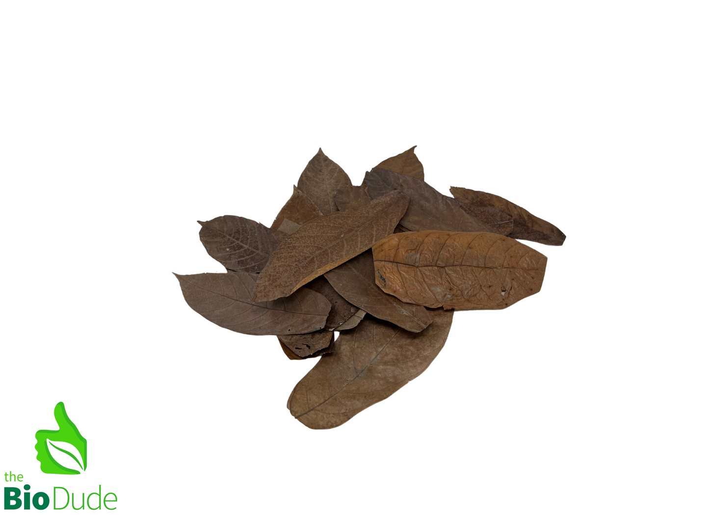 Colombian Leaf Litter — Cacao Leaves, 20 Count