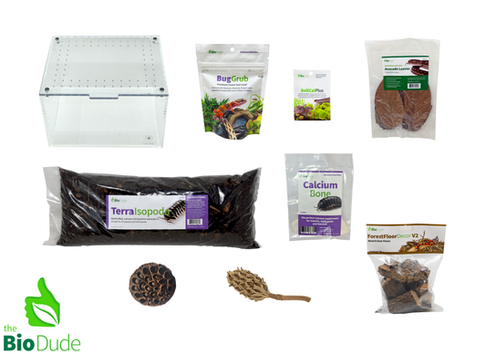Premium Isopod Enclosure Kit — Medium