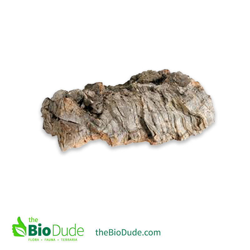 Cork Bark Flats for Reptiles, Amphibians & Plants